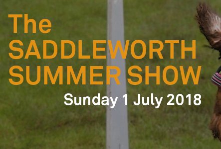 Saddleworth Show2